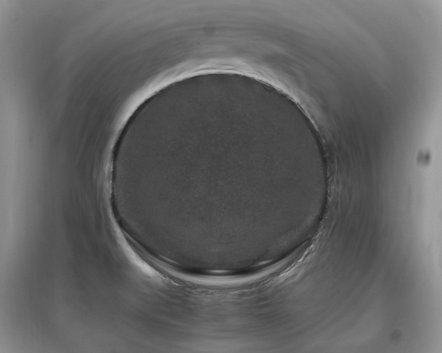 X0000097841519200803141156