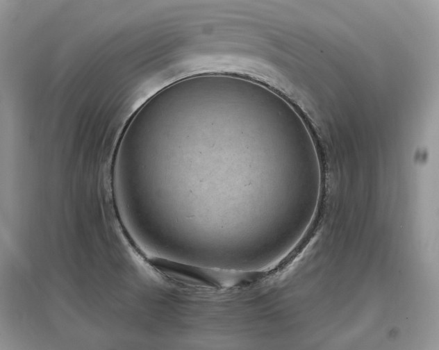 X0000097841521200803141156
