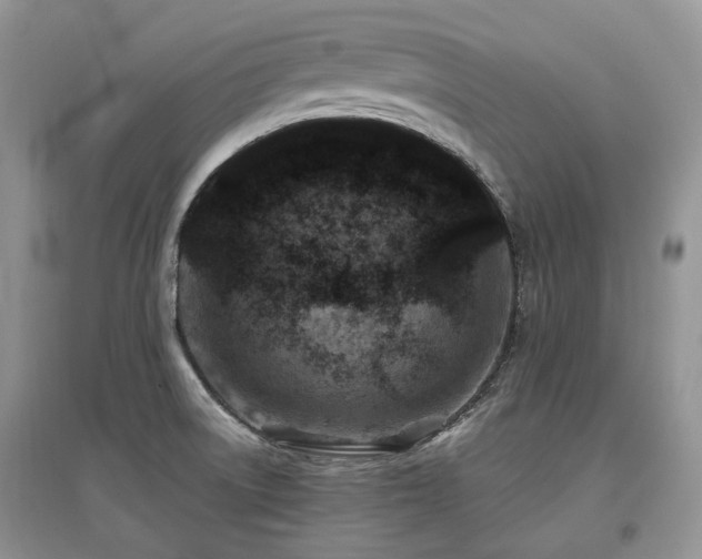 X0000097841522200803141156