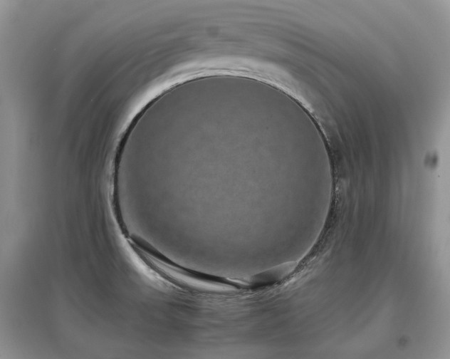 X0000097841523200803141156