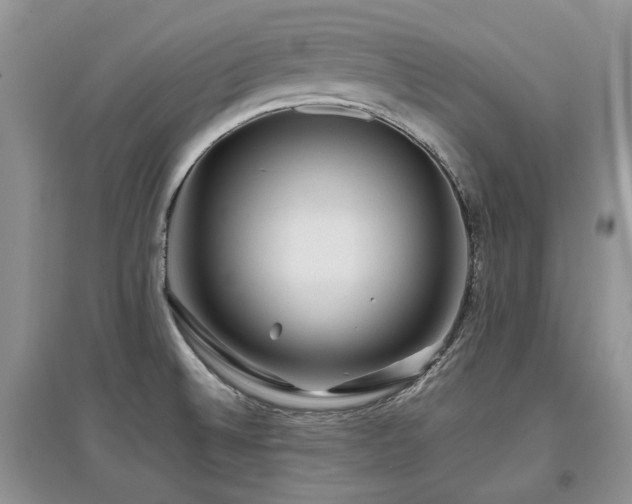 X0000097841524200803141156