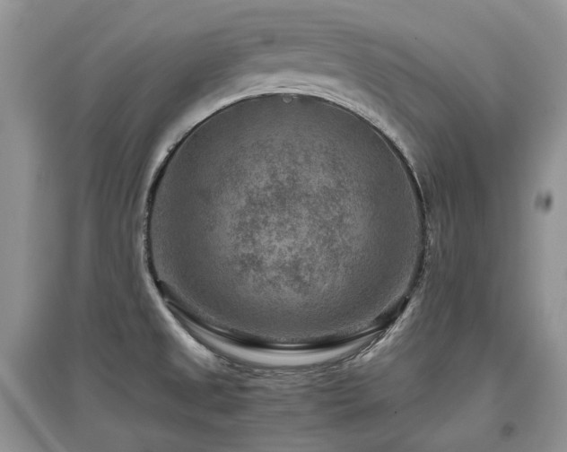 X0000097841525200803141156