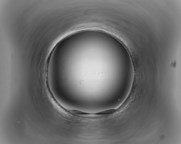 X0000097841526200803141156