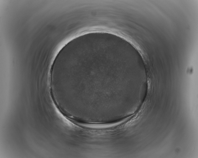 X0000097841527200803141156