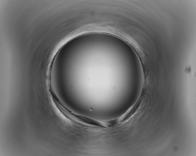 X0000097841528200803141156