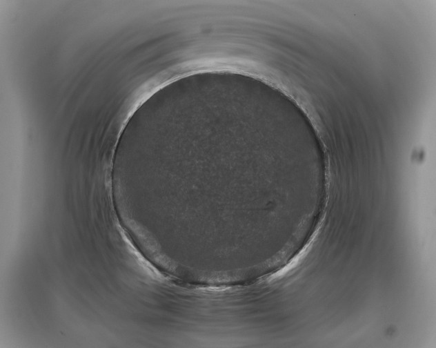 X0000097841529200803141156