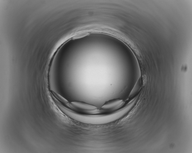 X0000097841530200803141156