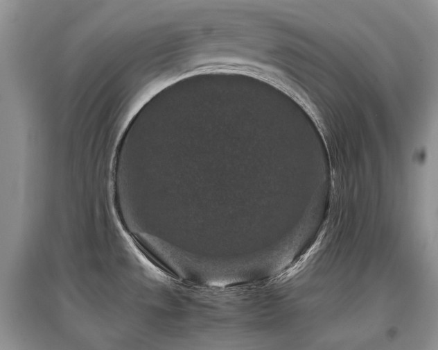 X0000097841533200803141156