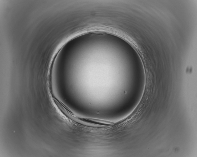 X0000097841536200803141156