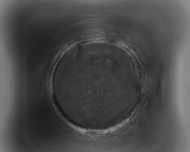 X0000097840002200803201527