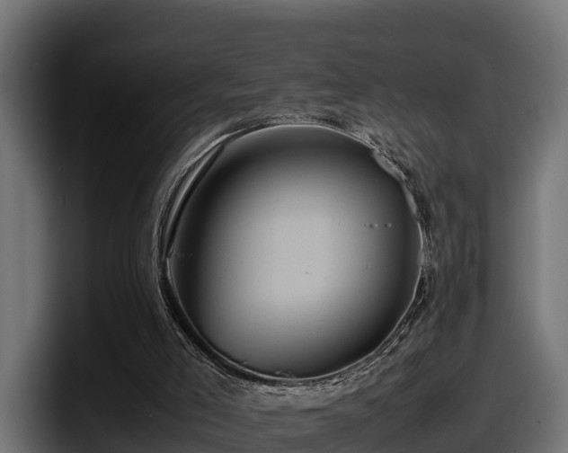 X0000097840005200803201527