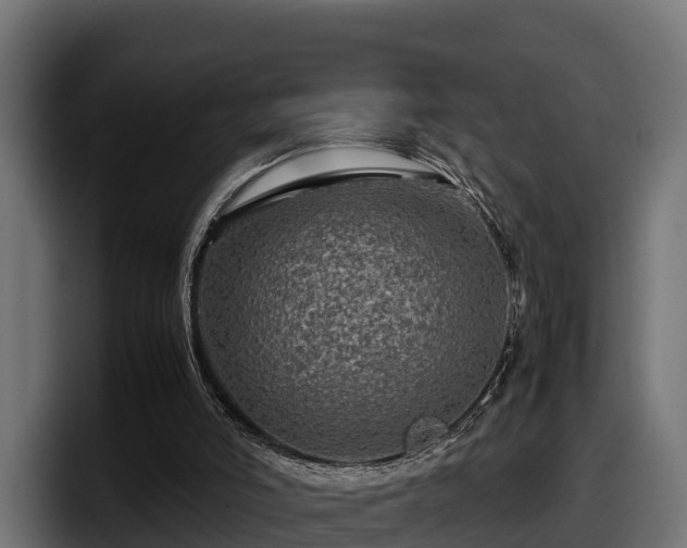 X0000097840006200803201527