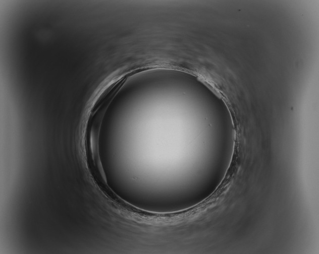 X0000097840007200803201527