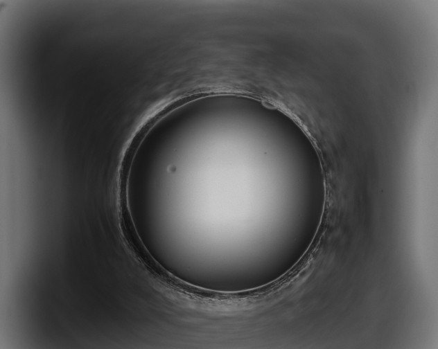 X0000097840008200803201527