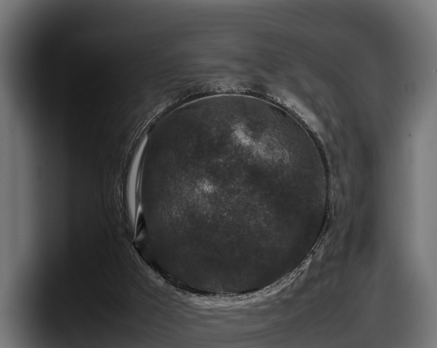 X0000097840009200803201527