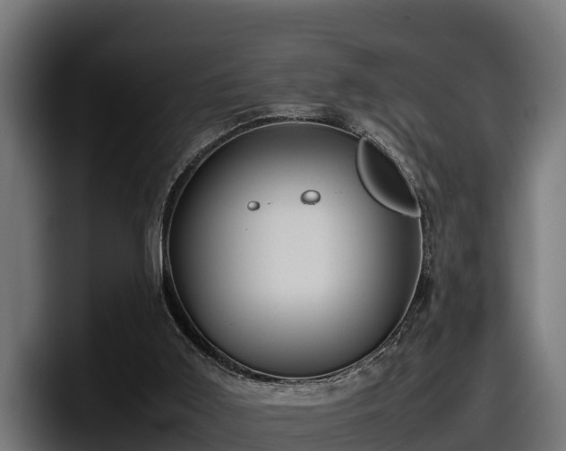 X0000097840011200803201527