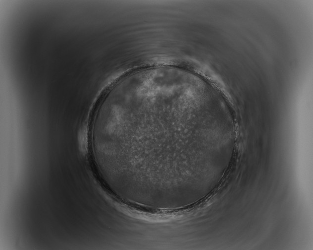 X0000097840012200803201527