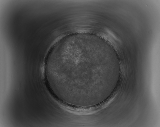 X0000097840016200803201527