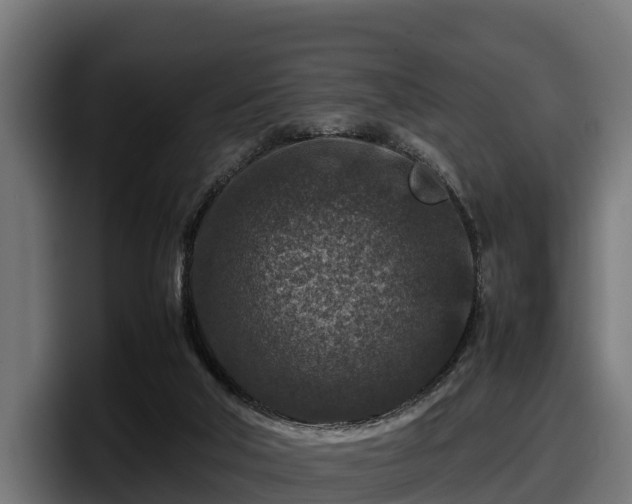 X0000097840018200803201527