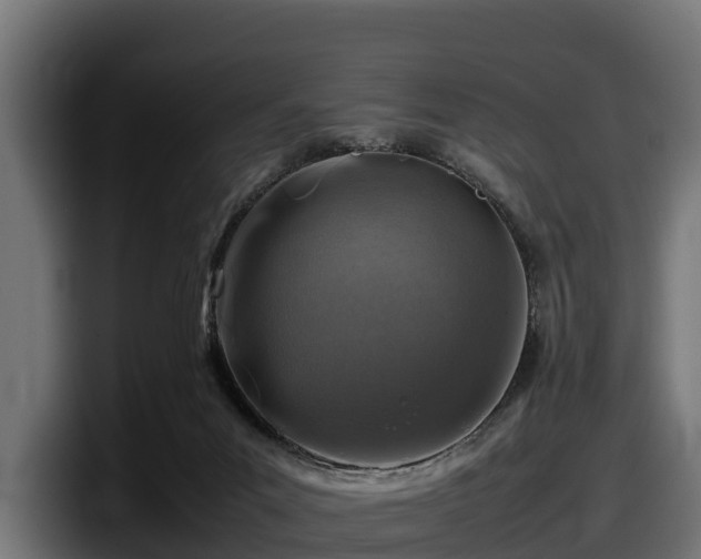 X0000097840023200803201527