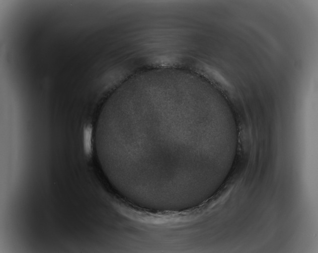 X0000097840024200803201527