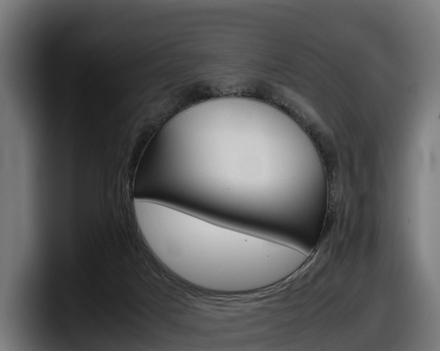 X0000097840025200803201527