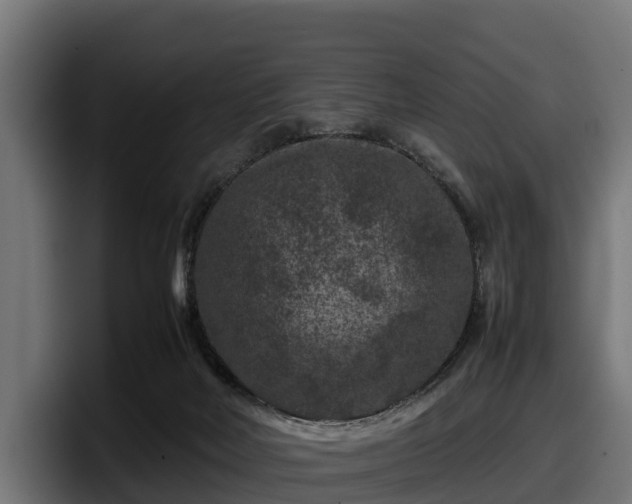 X0000097840026200803201527