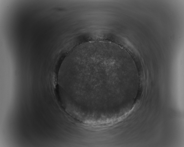 X0000097840029200803201527