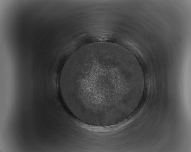 X0000097840030200803201527