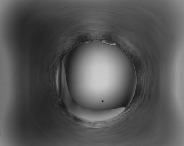 X0000097840033200803201527