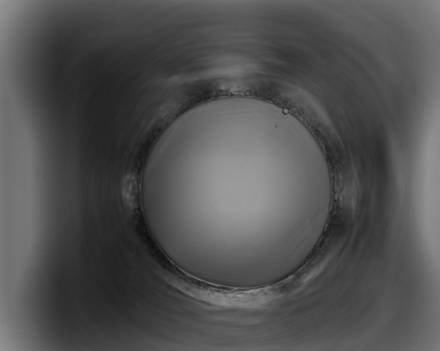 X0000097840036200803201527