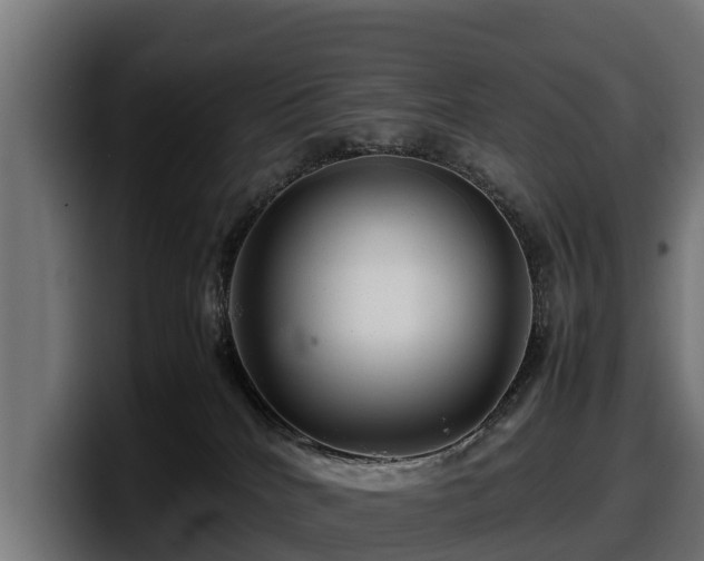 X0000097840040200803201527