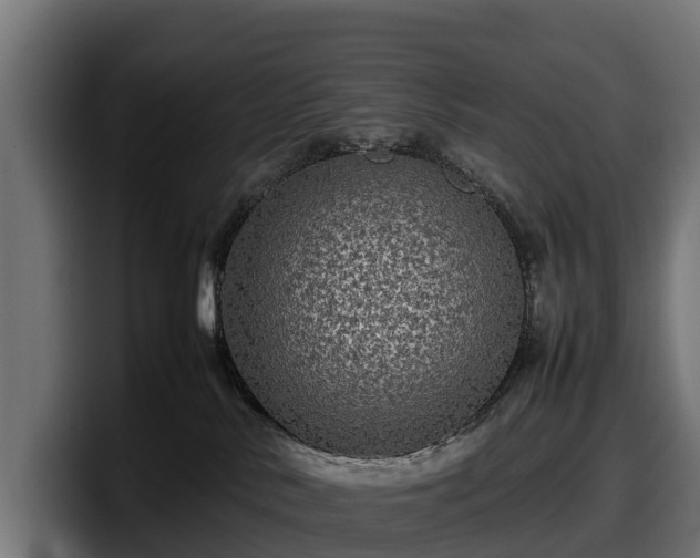 X0000097840042200803201527