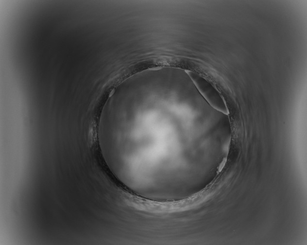X0000097840043200803201527
