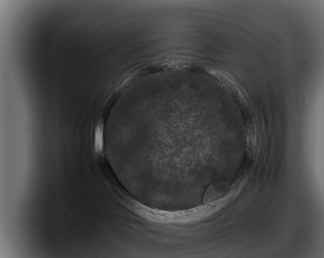 X0000097840046200803201526