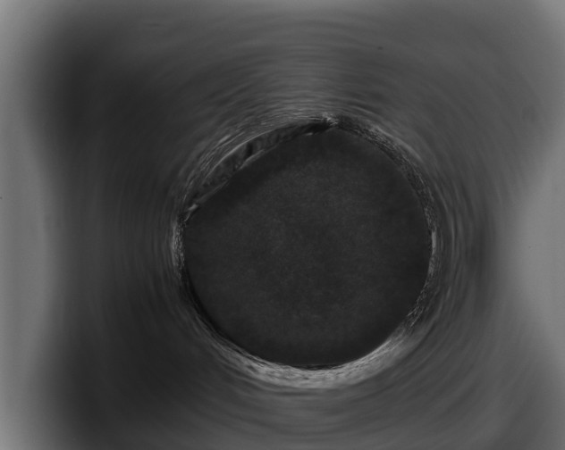 X0000097840048200803201526