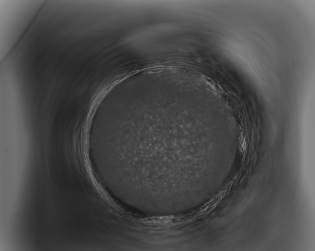 X0000097840049200803201526