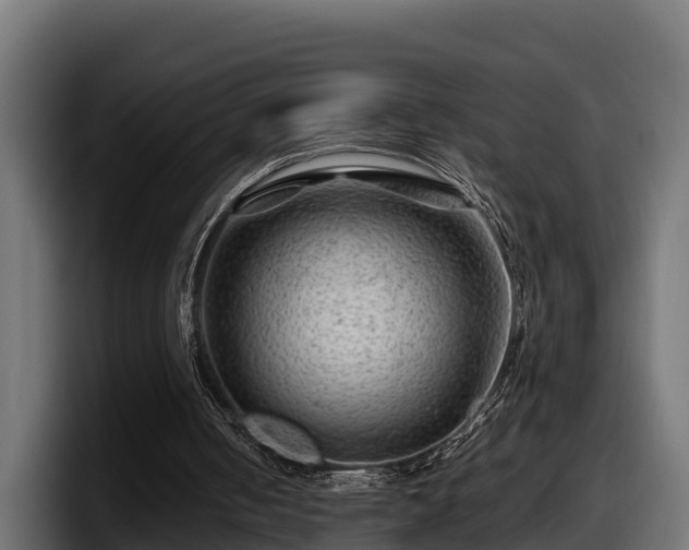 X0000097840050200803201526