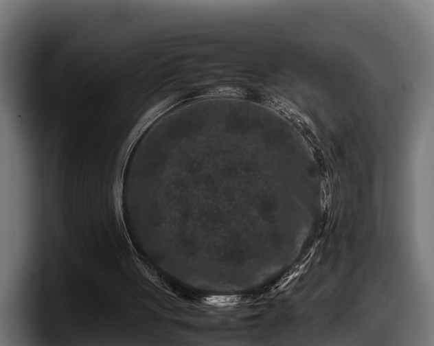X0000097840051200803201526