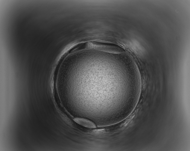 X0000097840054200803201526