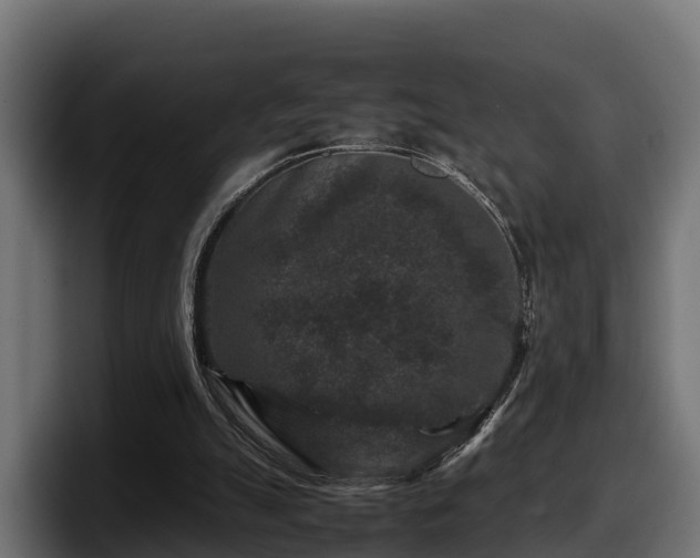 X0000097840055200803201526