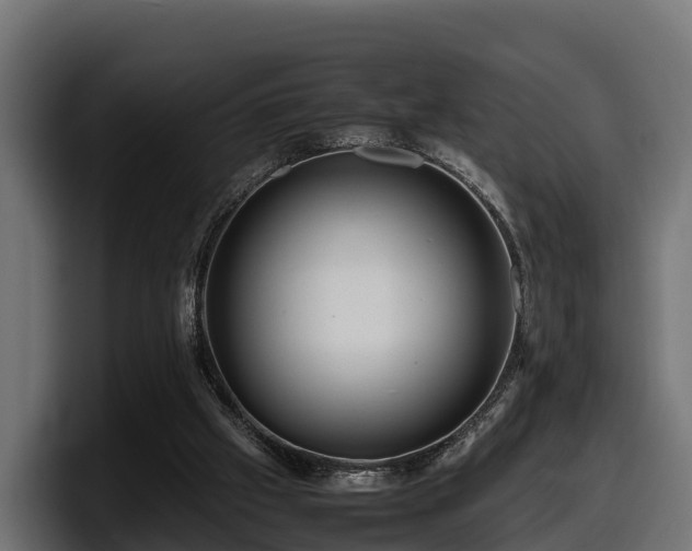 X0000097840057200803201526