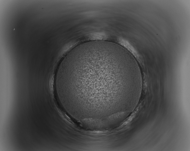 X0000097840058200803201526