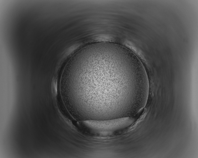 X0000097840062200803201526