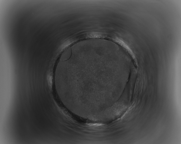 X0000097840063200803201526