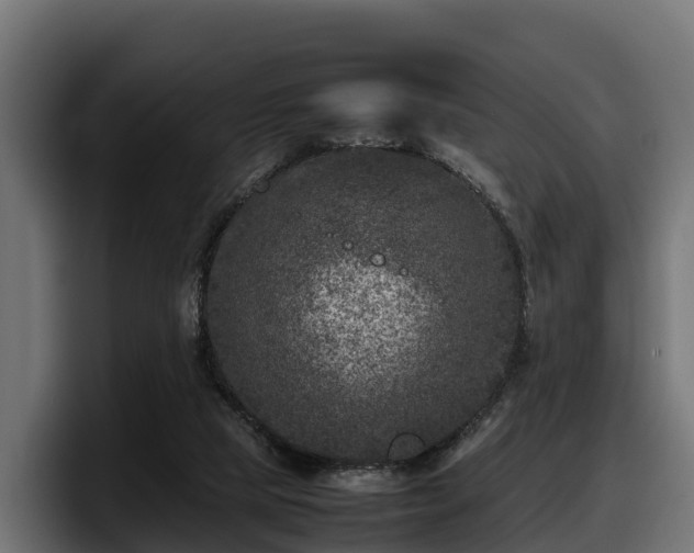 X0000097840065200803201526