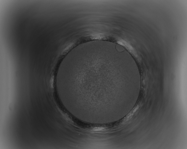 X0000097840066200803201526