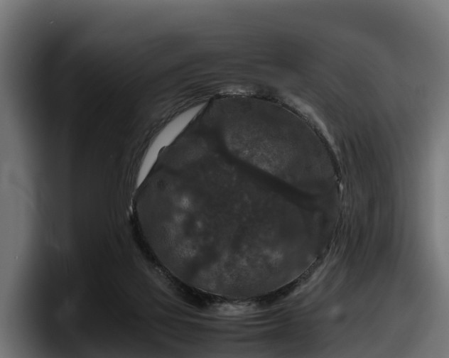 X0000097840069200803201526