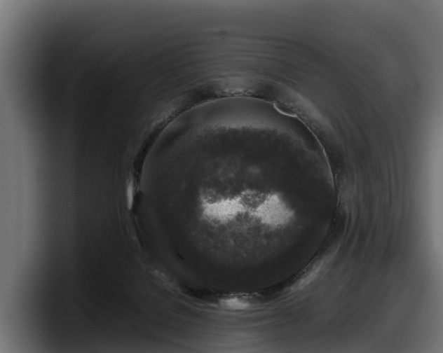 X0000097840076200803201526