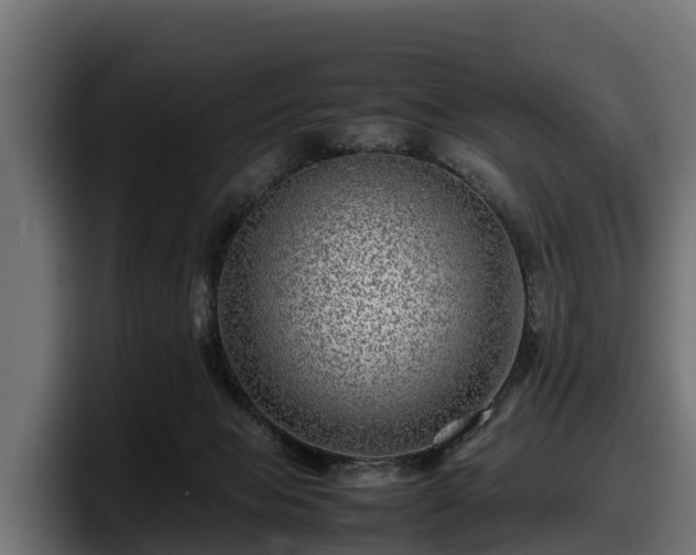 X0000097840077200803201526